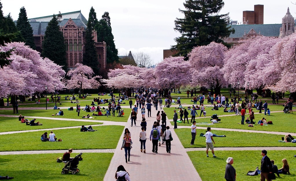 University Campus