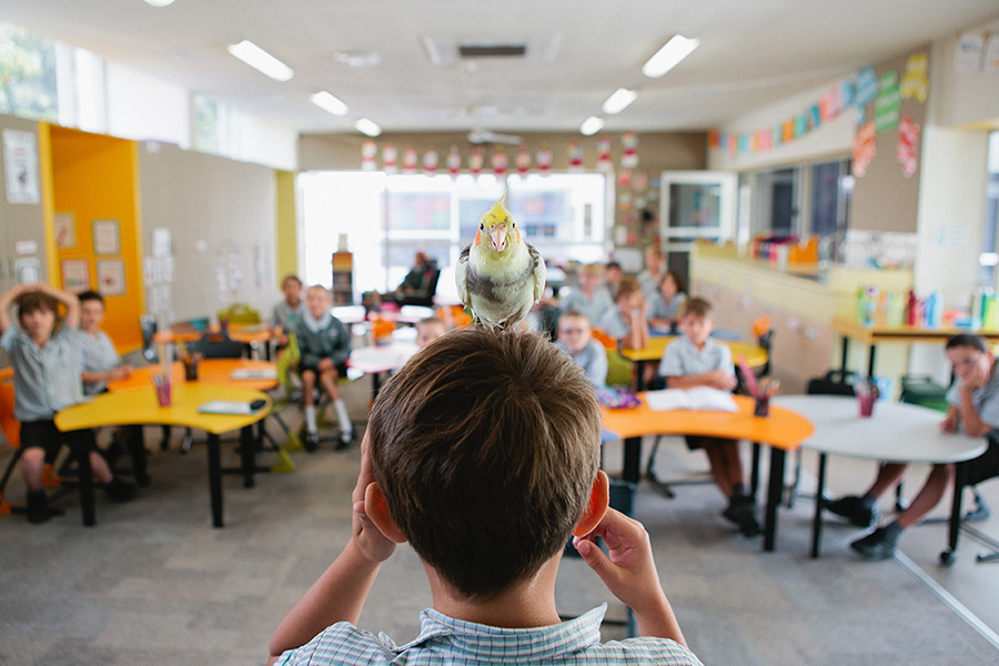 School - Classroom